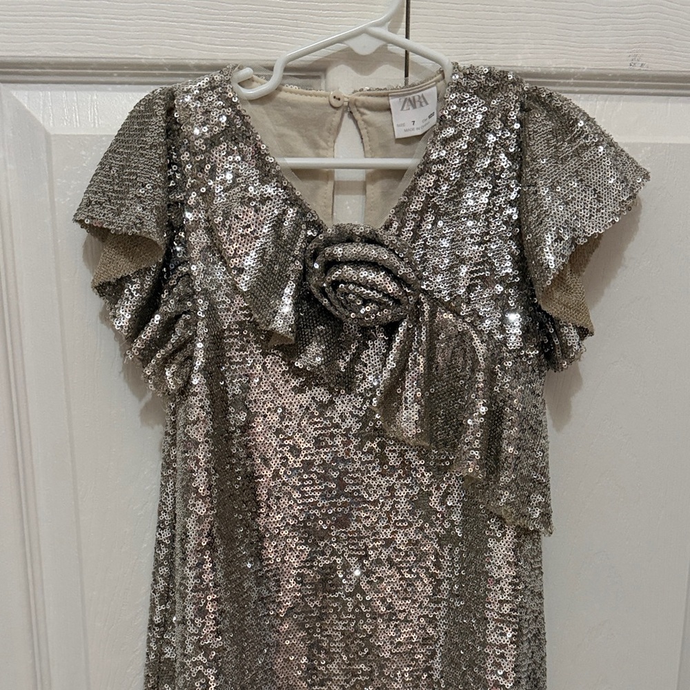 Zara Shimmering Silver Sequin Top